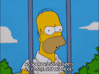 homer simpson help GIF