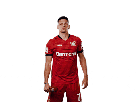 Bayer 04 Werkself GIF by Bayer 04 Leverkusen