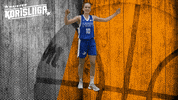 Basketball Hoops GIF by Basket_fi