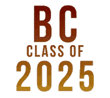 Chestnut Hill Bc Sticker by BostonCollege