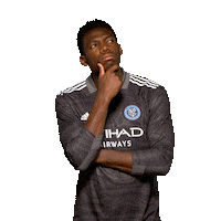 New York City Fc Reaction Sticker by NYCFC