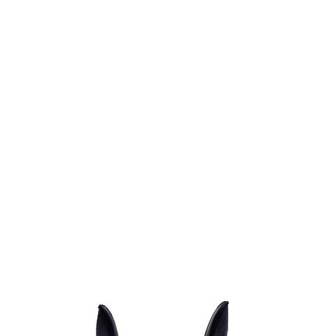 Card Games Game Sticker by Coiledspring Games