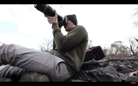 GIF by LensProToGo