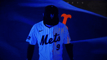 Baseball Mlb GIF by New York Mets