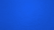 helium10 GIF