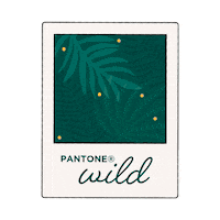 Jungleagenciamx wild jungle pantone agenciacreativa Sticker