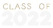 Text Celebrate Sticker