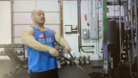 fitguide giphygifmaker GIF