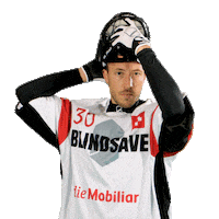 Swissunihockey Blindsavefloorball Sticker by BLINDSAVE