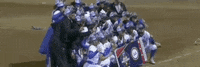 Virginia Tech Softball GIF by NCAA Championships
