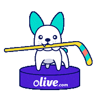 Hockey Nhl Sticker by olive