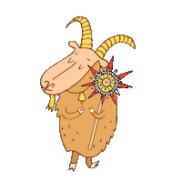 Koliada Sticker by ITechArt Life