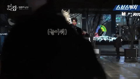 evalee22b1 giphygifmaker GIF