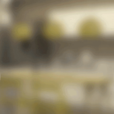 Giraffas amor romance comida crush GIF