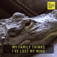 Losing My Mind Wtf GIF by 60 Second Docs