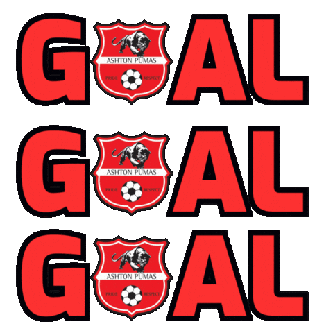 Lets Go Football Sticker by Ashton Pumas Womens