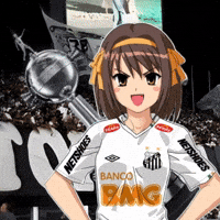 Seria A Santos Fc GIF