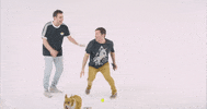 twofriends music friends celebrate dj GIF