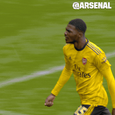 Premier League Soccer GIF by Arsenal