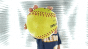 Rocket Softball GIF by Toledo Rockets