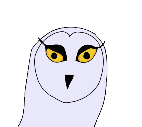 Snowy Owl Wink Sticker