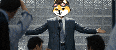 Elon GIF by Dogelon Mars