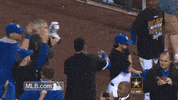 kc GIF by MLB