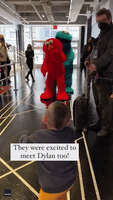 3-Year-Old Can't Contain Excitement Around Elmo