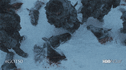 Hbo GIF by Game of Thrones