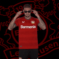 Sun Sunglasses GIF by Bayer 04 Leverkusen