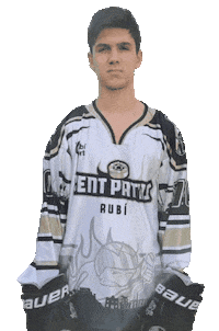 Inline Hockey Goal Sticker by CentPatins