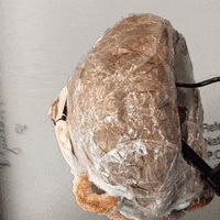 Lab Onf GIF by Alex Boya