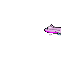 Airplane Tierschutz Sticker by TierschutzADAGranCanaria