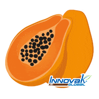 Papaya Mamao Sticker by Innovak Global