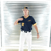 Toledo Baseball GIF by Toledo Rockets
