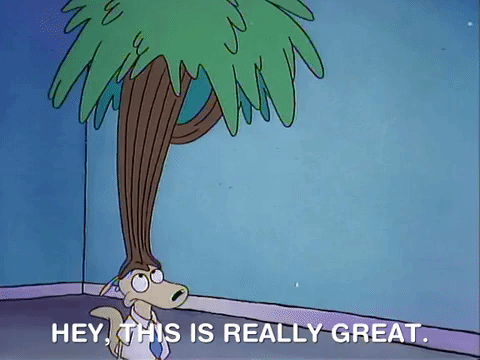 rockos modern life nicksplat GIF