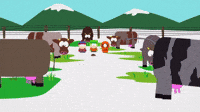Burning Cow Poop