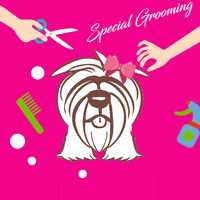 Furrypaws petshop dog grooming furry paws furrypaws GIF