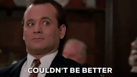 couldnt be better bill murray GIF