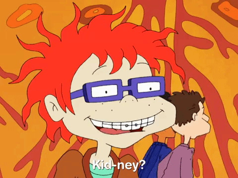 all grown up nicksplat GIF