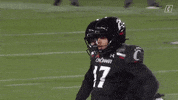 College Football GIF by Cincinnati Bearcats