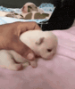 GIF by Demic