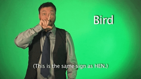 sign language bird GIF by Sign with Robert