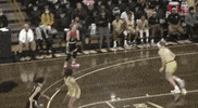 Horizon League Ncaa GIF by Purdue Fort Wayne Athletics