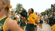 Baylor Bears Baylorfootball GIF by Baylor Athletics