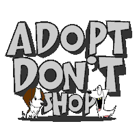 Dog Adopt Sticker by pothounds