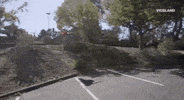 viceland GIF by KING OF THE ROAD