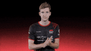 sauberesports sauber f1esports sauber esports dani bereznay GIF
