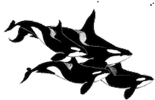 killer STICKER