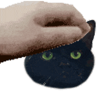 Dexter Sticker by Meow Cats Café